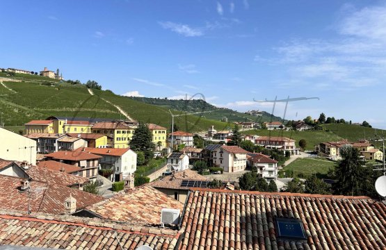 Vendita Palazzo Città Barolo Piemonte